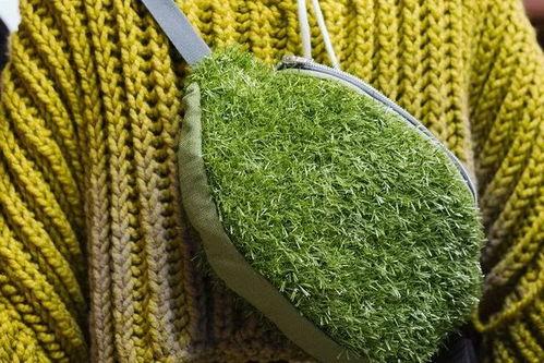 青草青青国产视频,国产视频中的青春记忆与成长轨迹