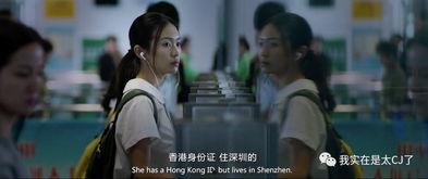 国产片国语版,跨越语言障碍，感受本土文化魅力